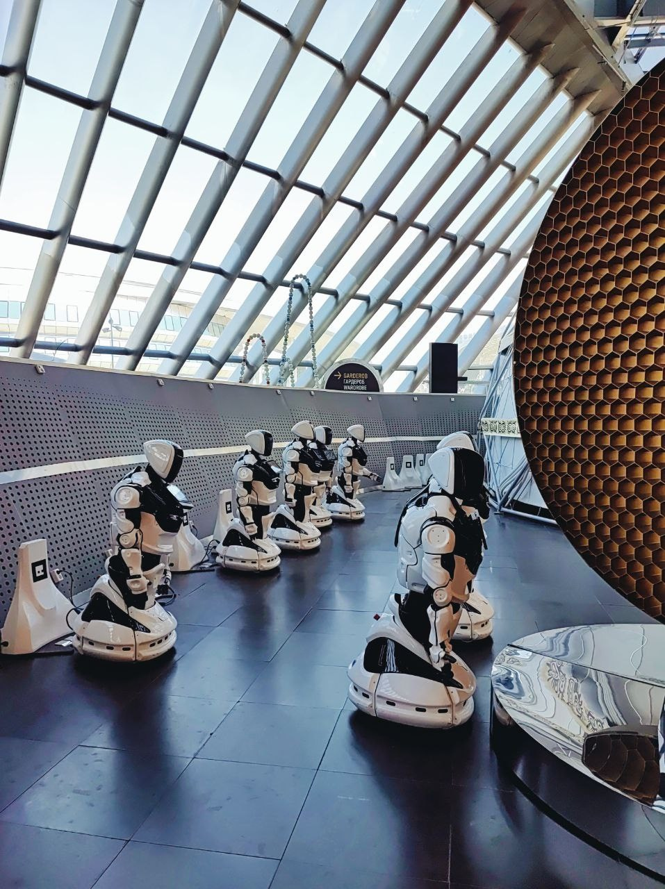 Намобилкус казахский. Репортажный фотограф Алексей Пирязев