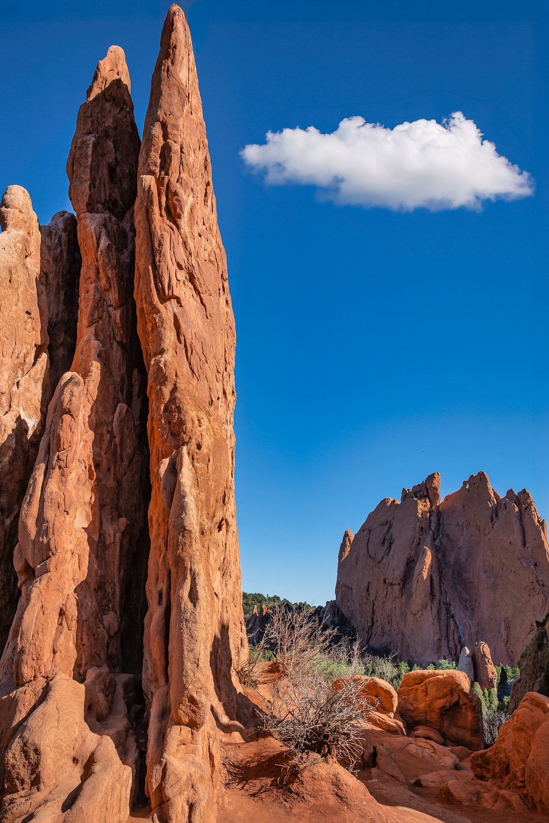 Garden of the Gods, USA. Photographer Vladimir Ostapenko