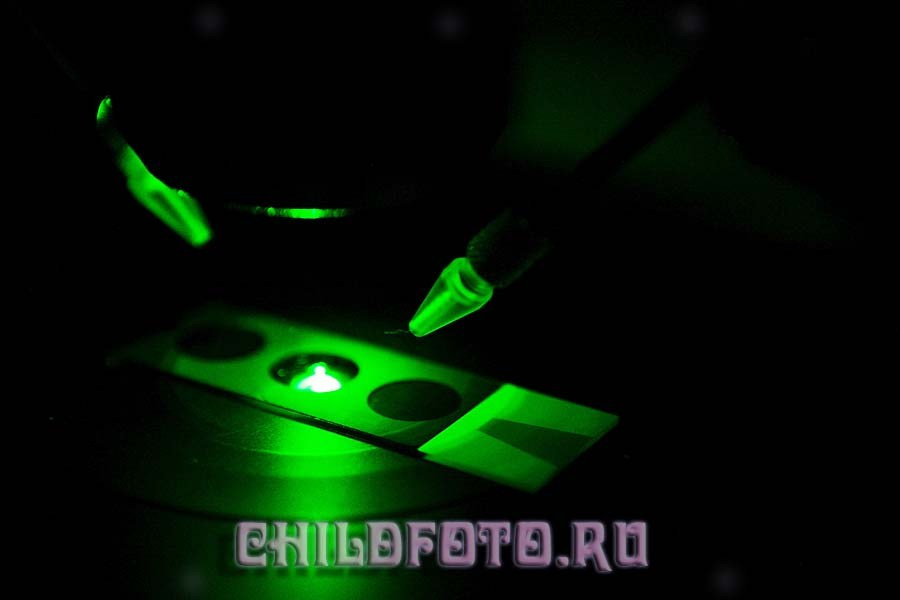 Институт Белка г. Пущино. Skazka.wfolio.pro