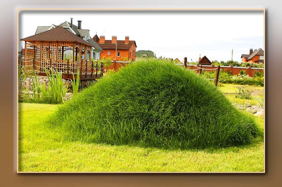 Ландшафтный дизайн. Skazka.wfolio.pro