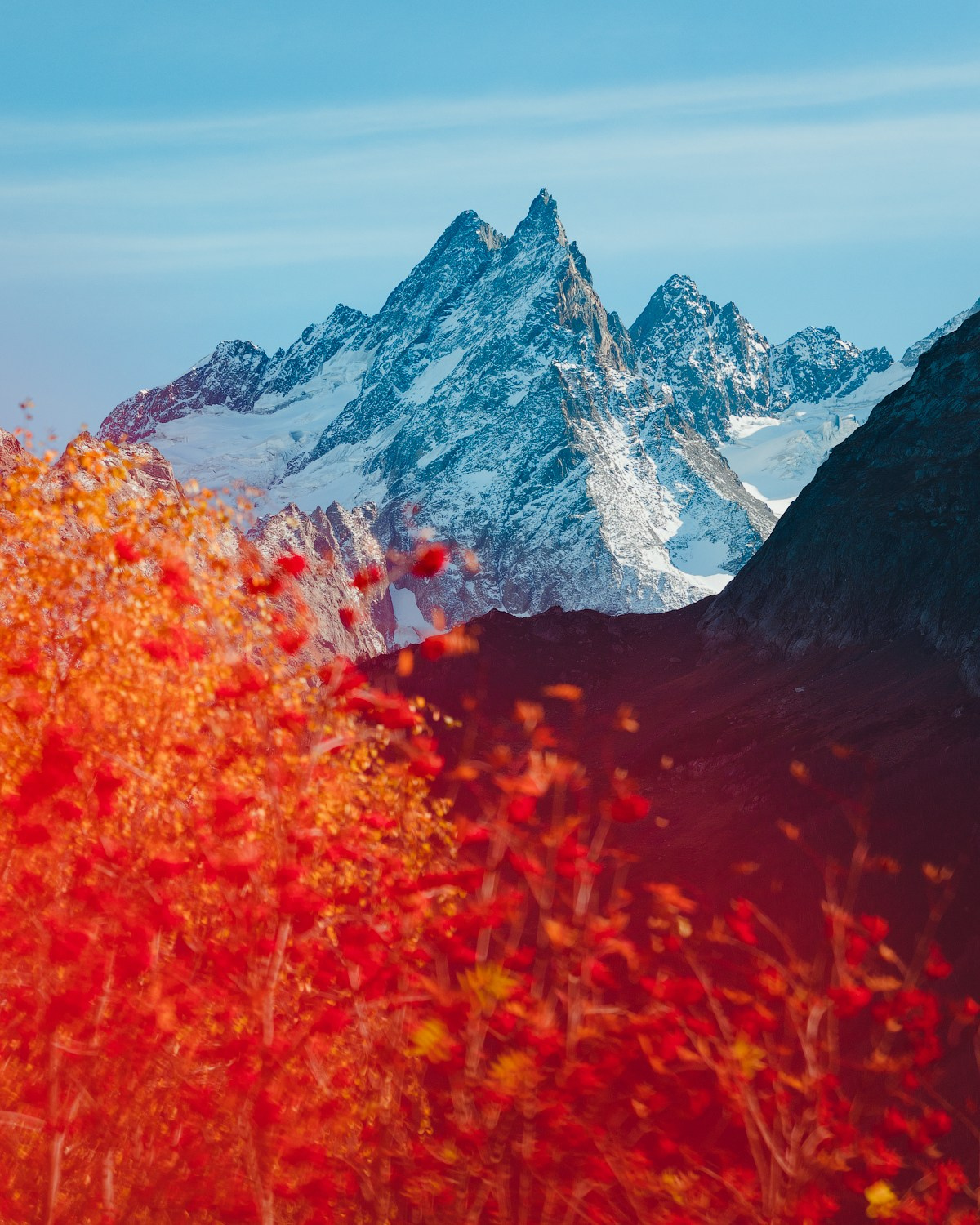 Аэросъёмка и путешествия. Alexey Shabanov photography