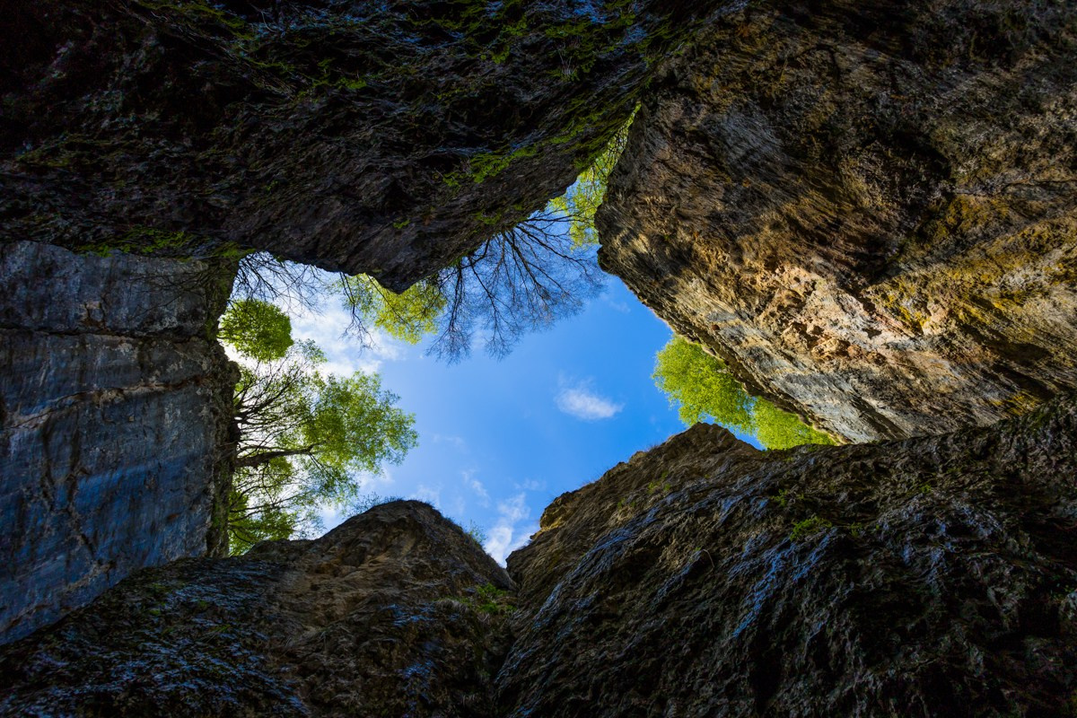 Каменная чаша. Photomantis