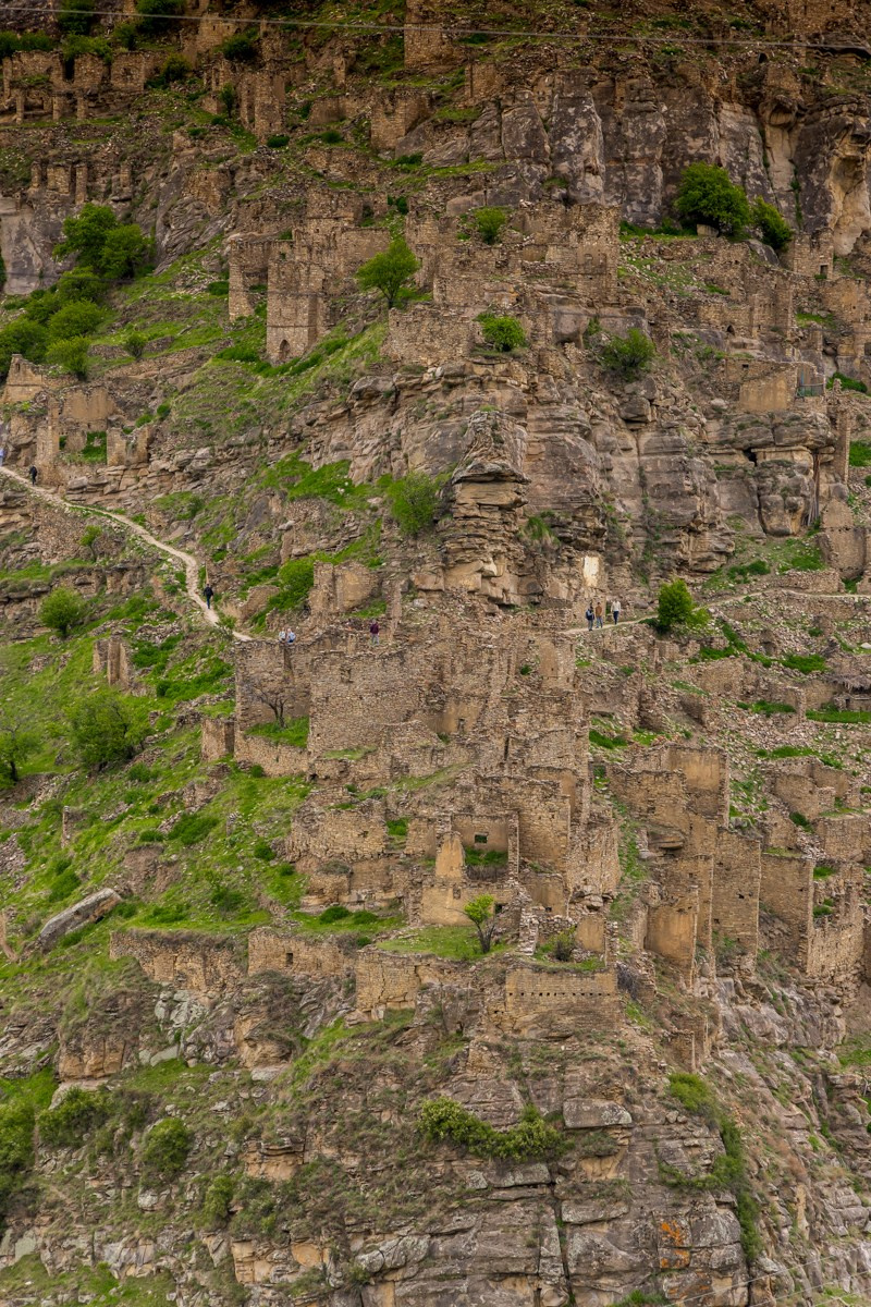 Аул Кахиб. Photomantis