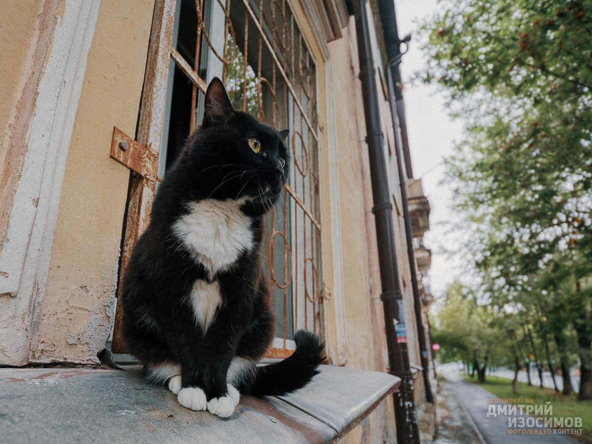 Лучшее из 2024