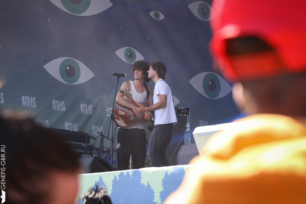 Фестиваль Дикая Мята. Репортажный и интерьерный фотограф Александра Солдатова