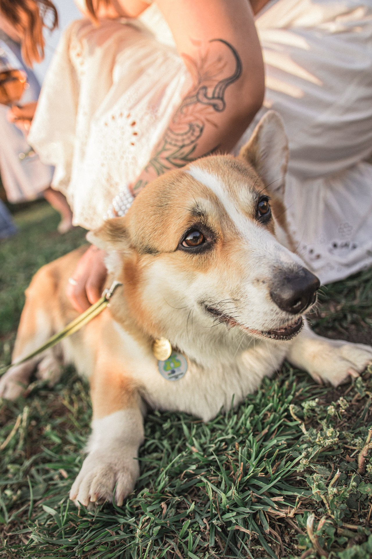 СЫЧ: Музыка на закате. Анастасия Попова — свадебный и репортажный фотограф | Воронеж, Павловск