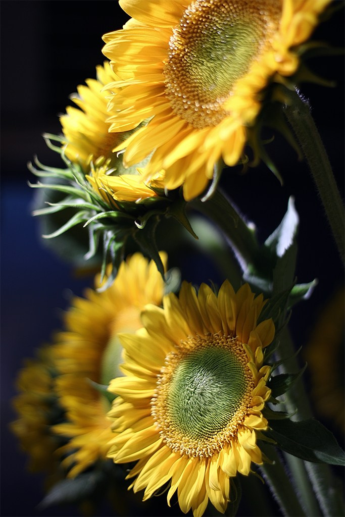 Визуал для бизнеса. Сказочный фотограф в Екатеринбурге Юлия Варгас, фотосессия под ключ