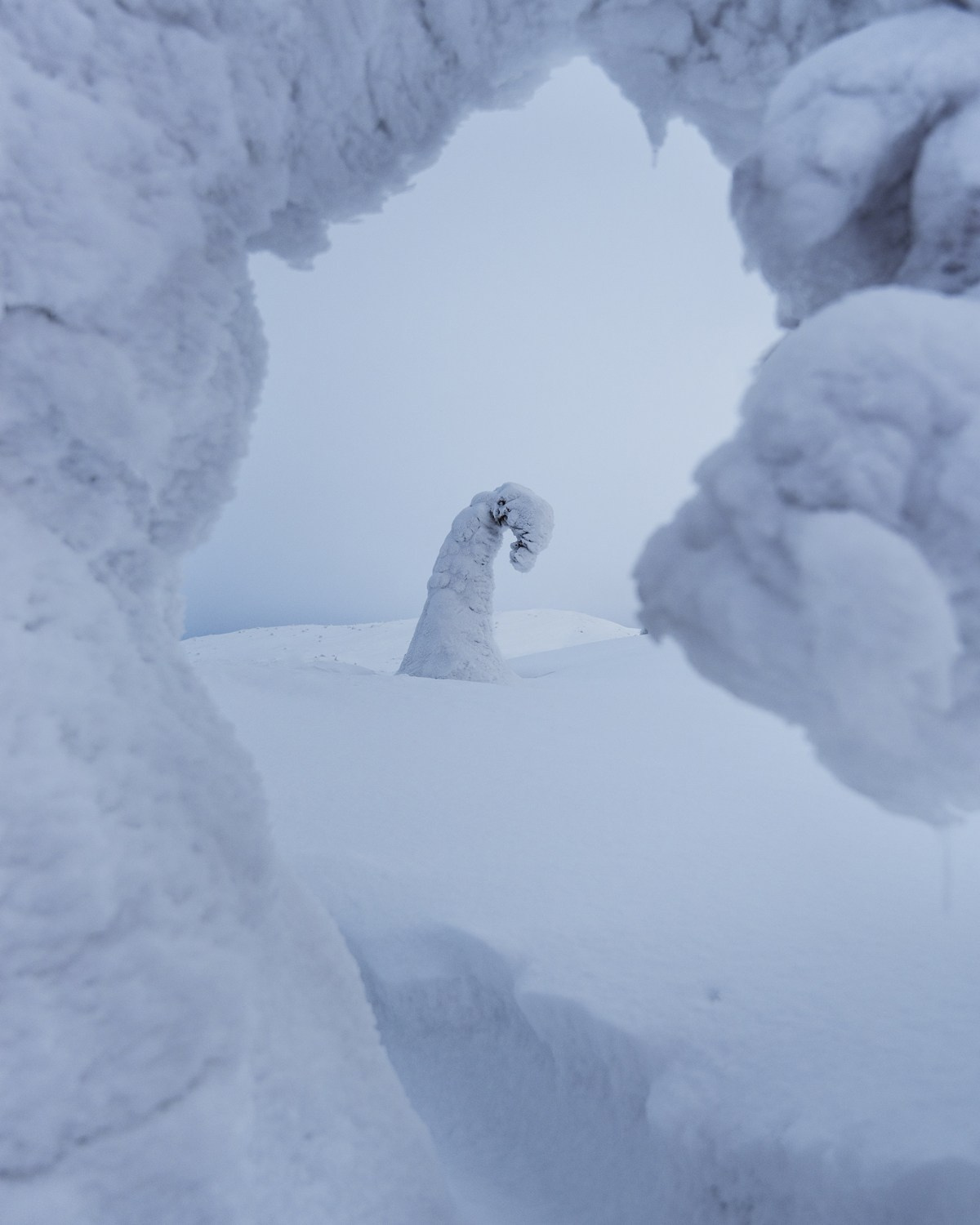 КАНДАЛАКША | БЕЛОЕ МОРЕ. Пейзажный и тревел-фотограф Алексей Соколенко