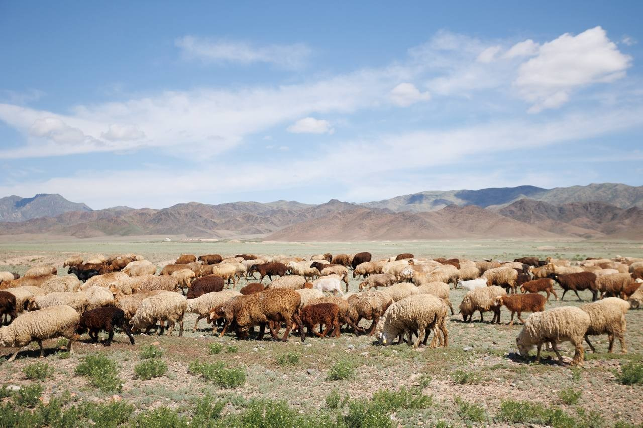 Многодневные туры. Экскурсии и туры по Алматы