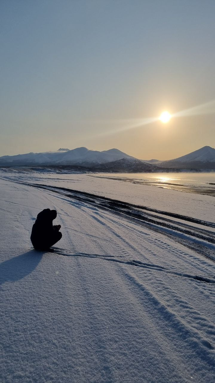 Мои итоги 2025 года