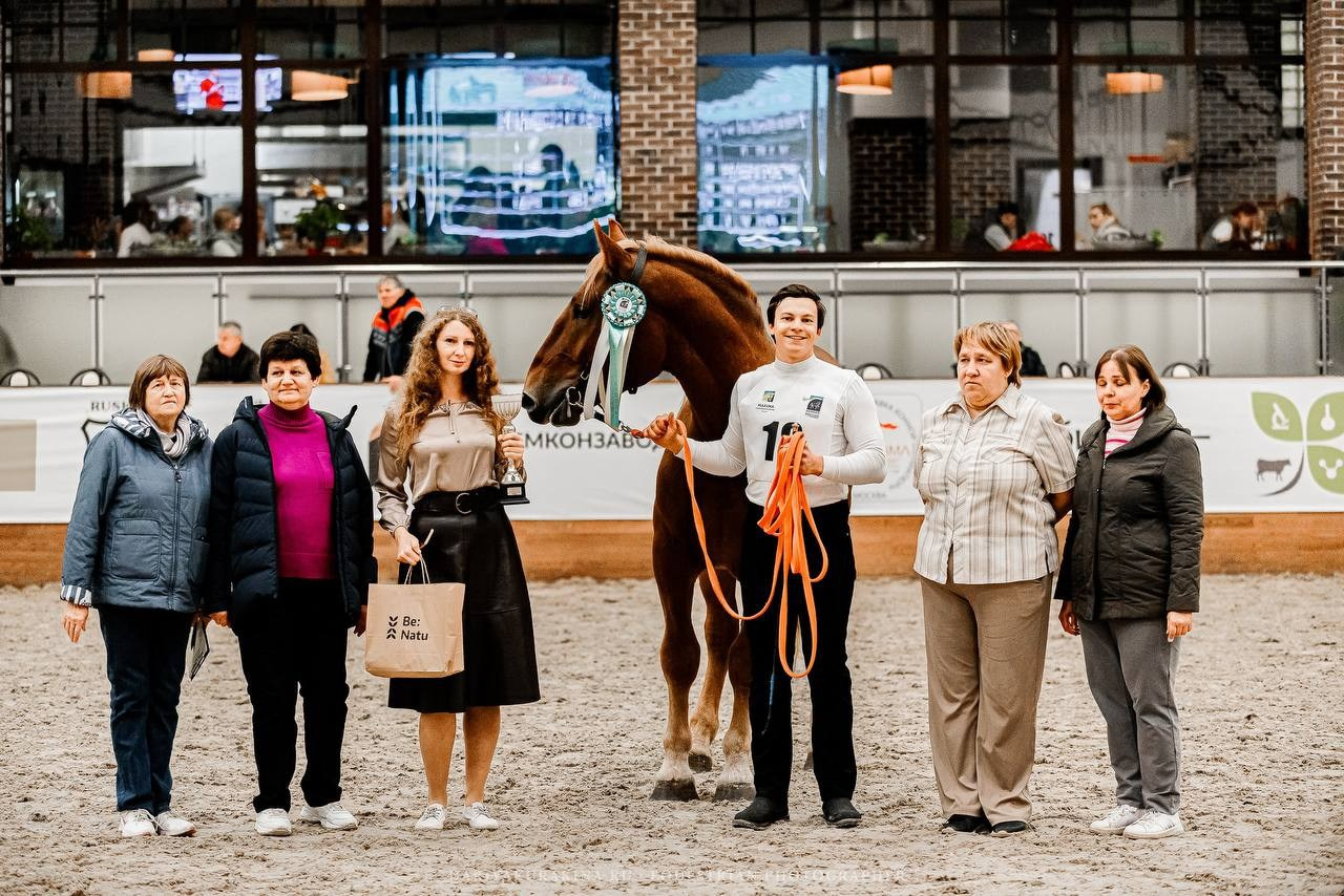 Ринг-выводка тяжелоупряжных пород ТИТАНЫ КОННОГО МИРА в рамках 9-й МЕЖДУНАРОДНОЙ ВЫСТАВКИ КОННАЯ РОССИЯ. Конный фотограф Куракина Дарья • Фотосессии с лошадьми