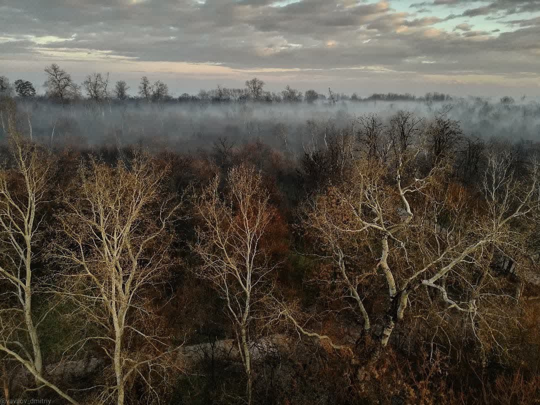 ТРЭВЭЛ. Творческие фотосессии в Москве