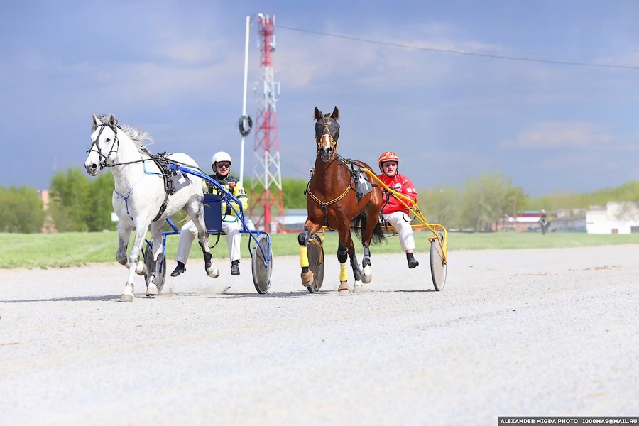 РЕПОРТАЖНАЯ СЪЕМКА. Фотограф Новосибирск