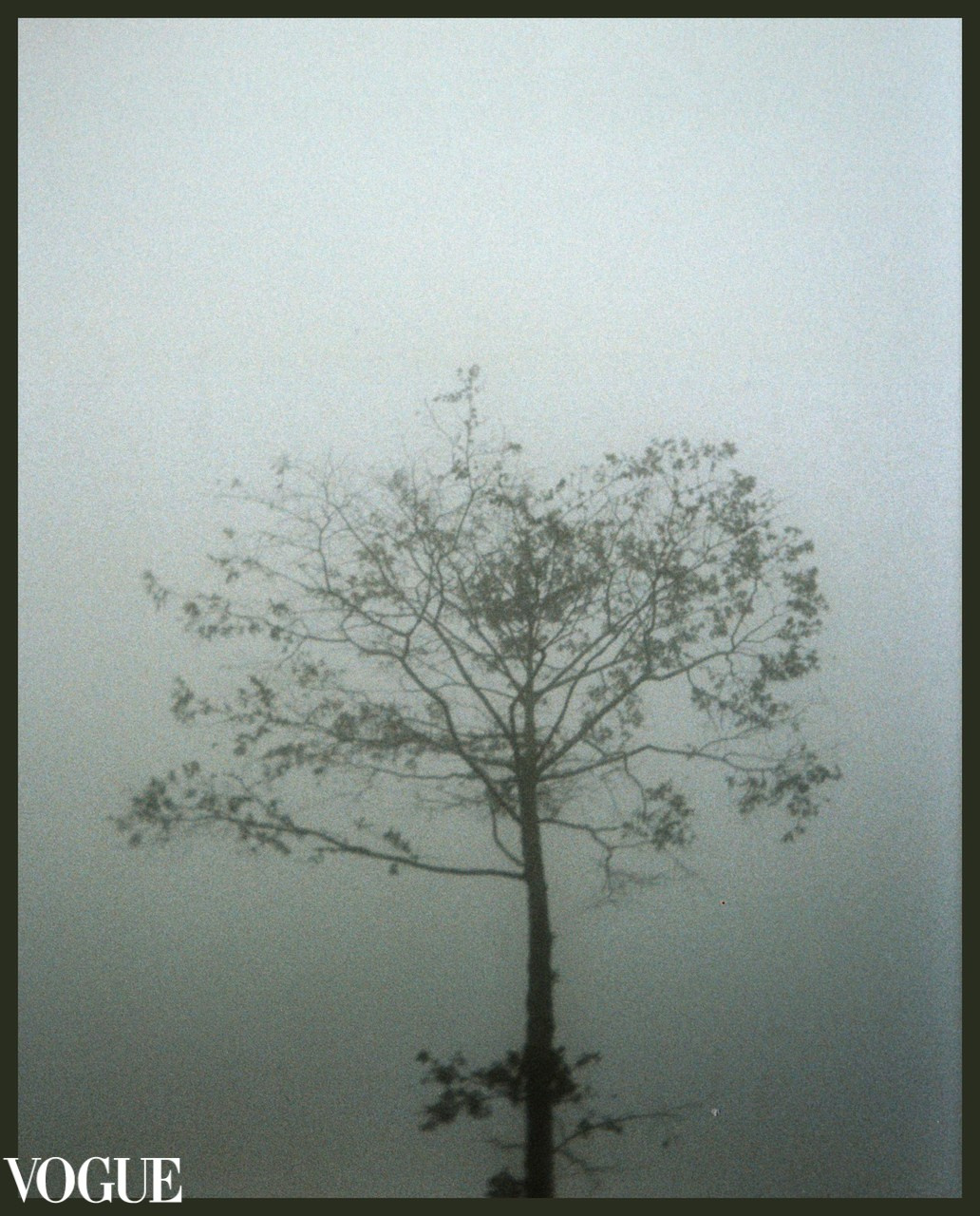 Арт фотограф Виктория Фатина Москва | visual art