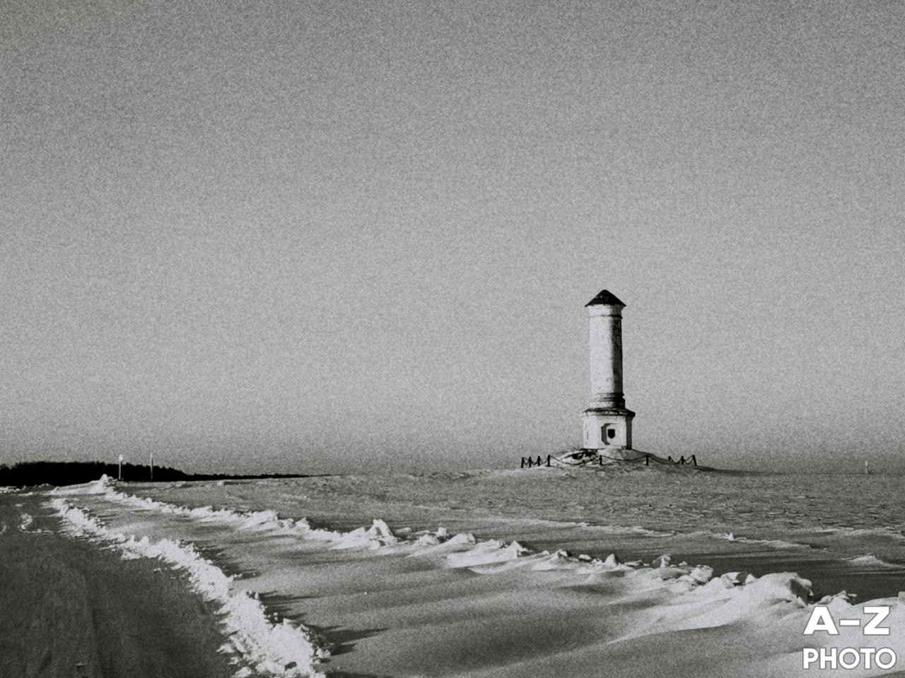 #ФОТОНЕДЕЛИ 09.02.2026. Женский семейный фотограф Тула Москва Захарова Анна