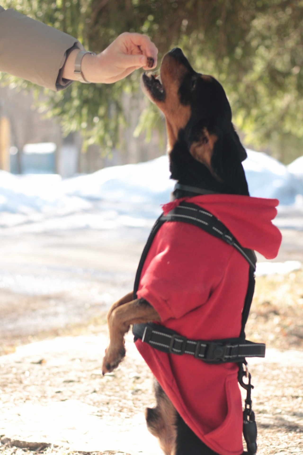 Маша и Кекс. Катя Попова|ЛайфСтайл фотограф