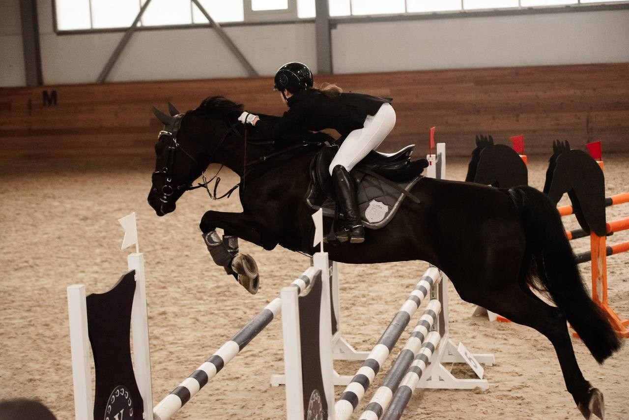 ВЕСЕННИЙ КУБОК МКК «ВОЛЬТ» ПО КОНКУРУ. Конный фотограф Куракина Дарья • Фотосессии с лошадьми