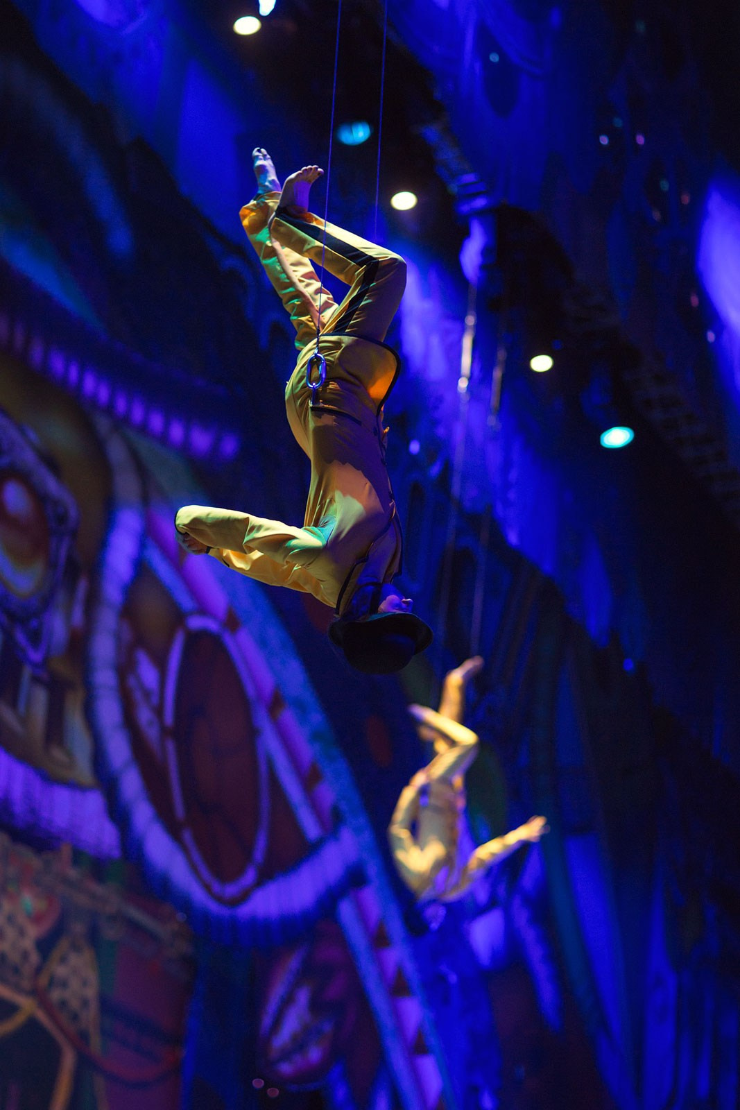 ЦИРК. Фотограф и видеограф для бизнеса в Москве — фуд, рестораны, интерьер, контент | Sizov Studio