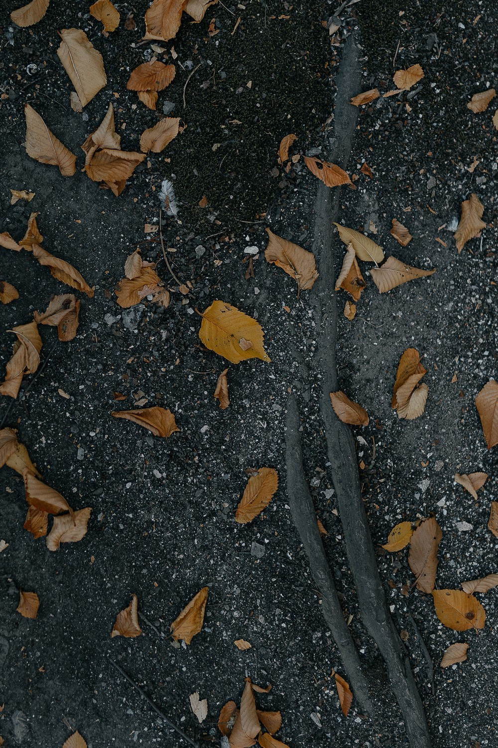 Алёна и Дима. Фотограф Ирина Романова