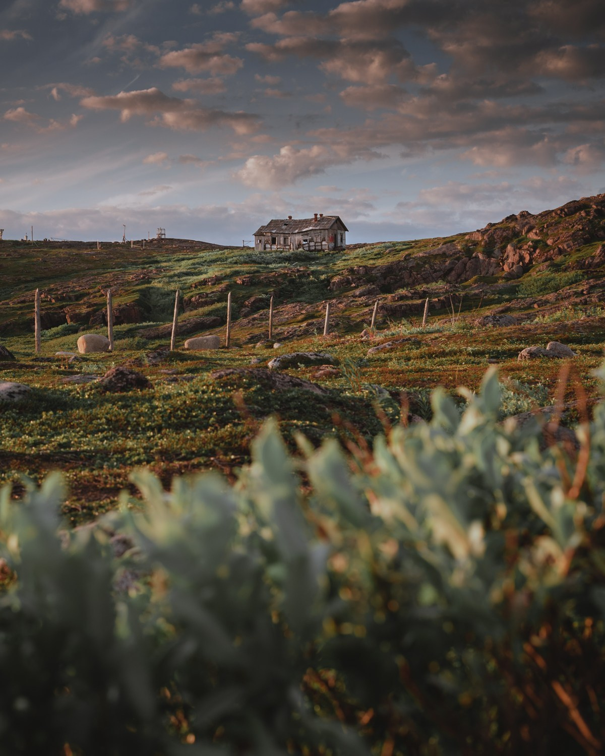 ТЕРИБЕРКА | БАРЕНЦЕВО МОРЕ. Пейзажный и тревел-фотограф Алексей Соколенко