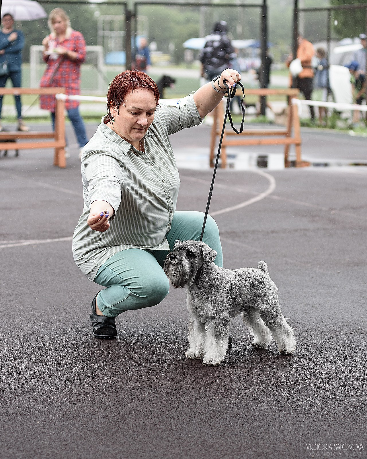 12–13 августа 2023 Благовещенск. Фотограф анималист Благовещенск. Сафонова Виктория