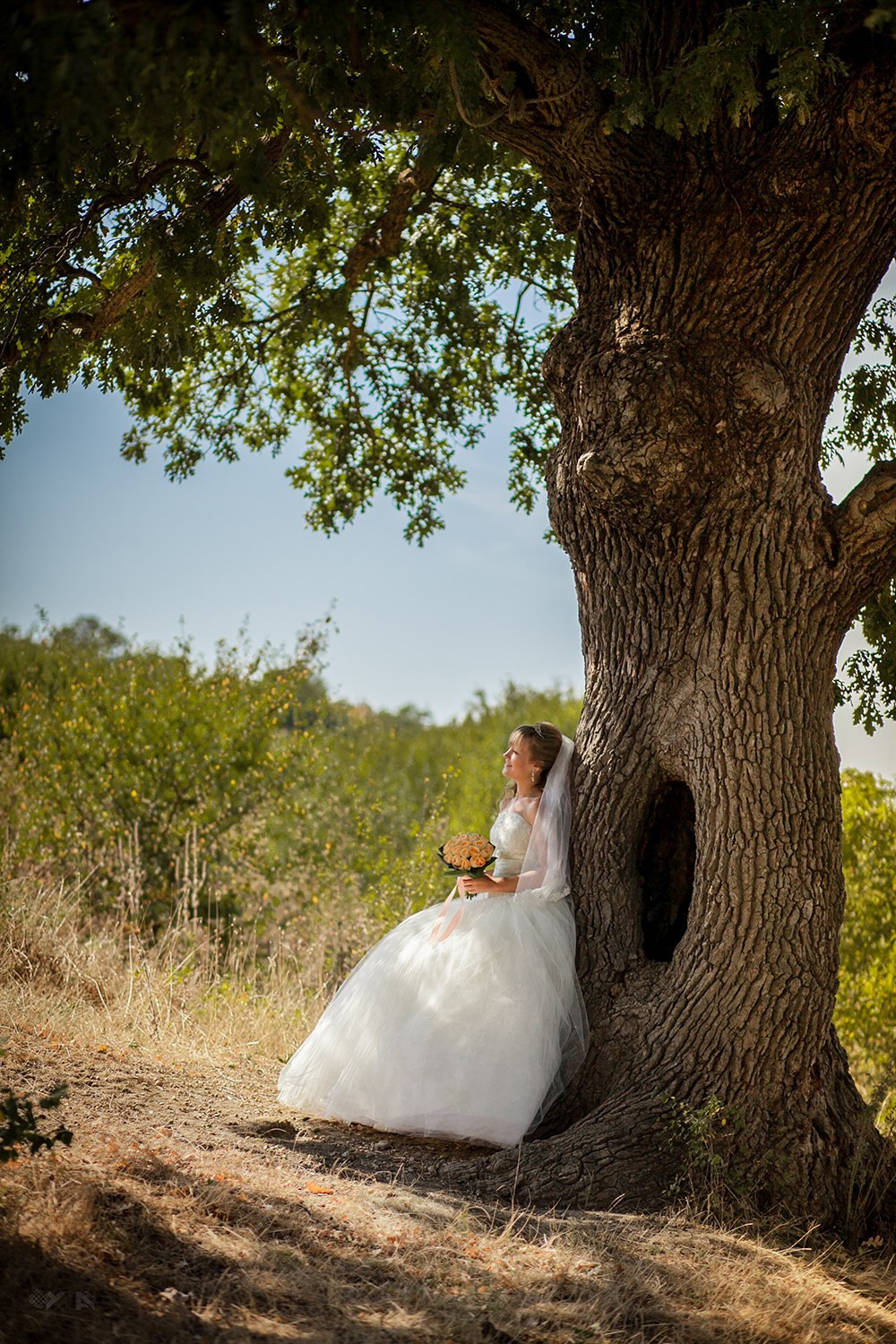 Свадьбы. Фотограф Усольцева Маргарита