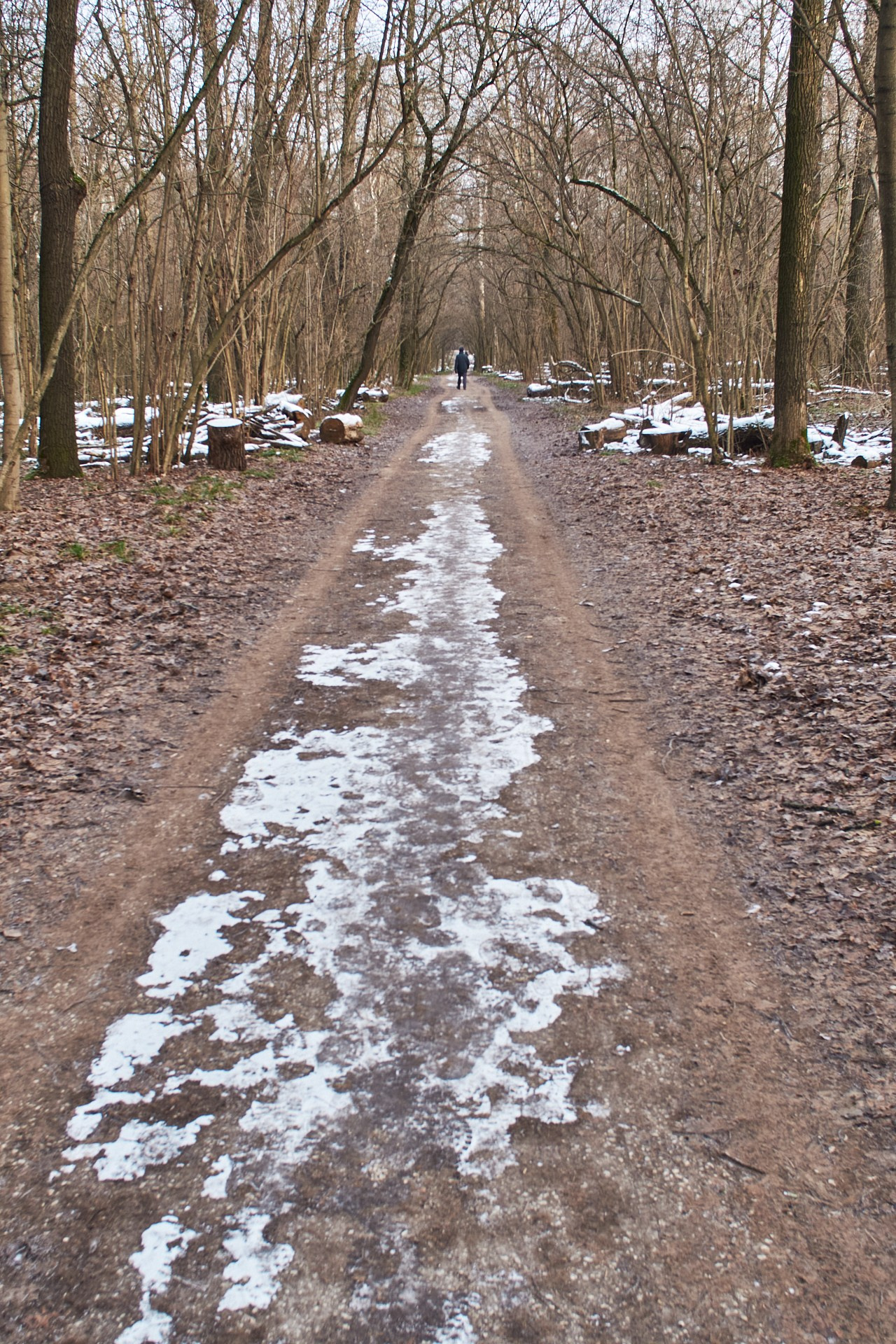 ЖИЗНЬ и СМЕРТЬ. Сайт фотографа Виталия Дени
