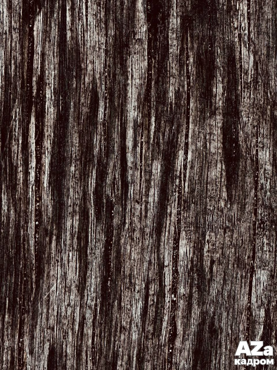 AZакадром «Фотофанты». Женский семейный фотограф Тула Москва Захарова Анна