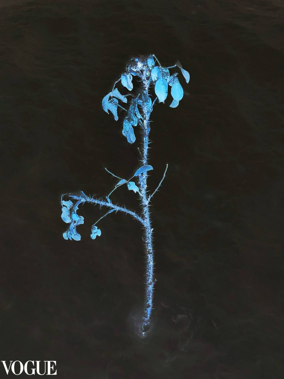 Работы студентов, курс «Вспышки» № 2