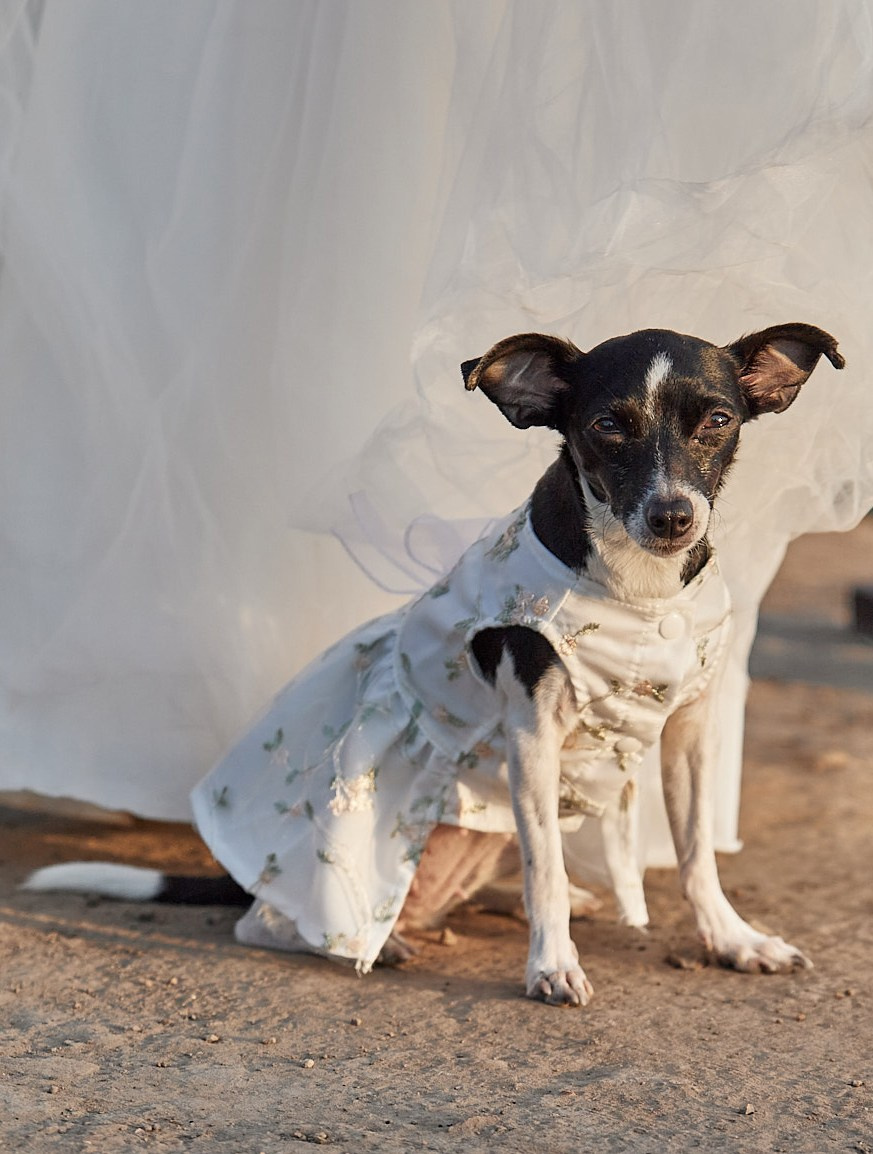 Выездная регистрация в горах. Олеся Лыпкань. Профессиональный фотограф Москва и МО