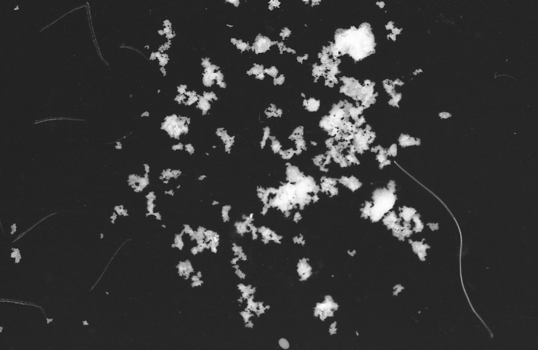 ⬊. Фотограф Денис Персенен | Санкт-Петербург, Москва