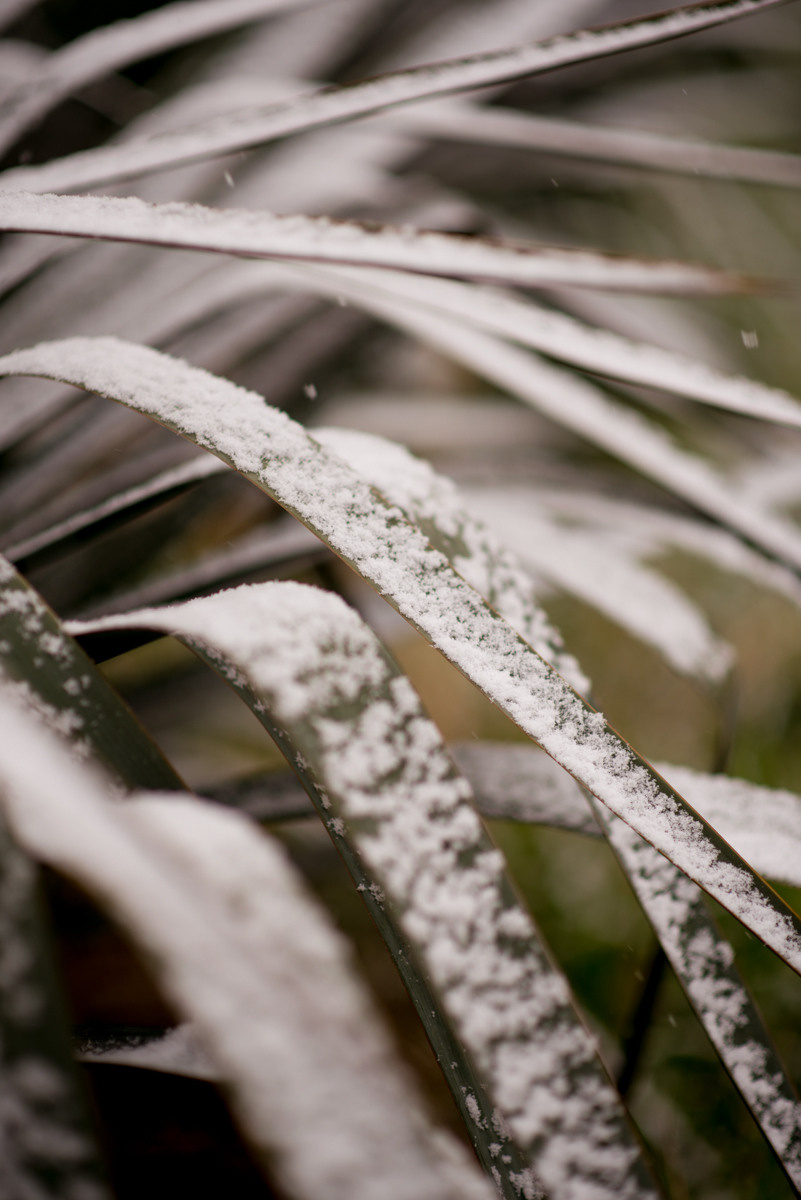 Фототуры, обучение, фотограф Анастасия Забелина в Крыму и Севастополе
