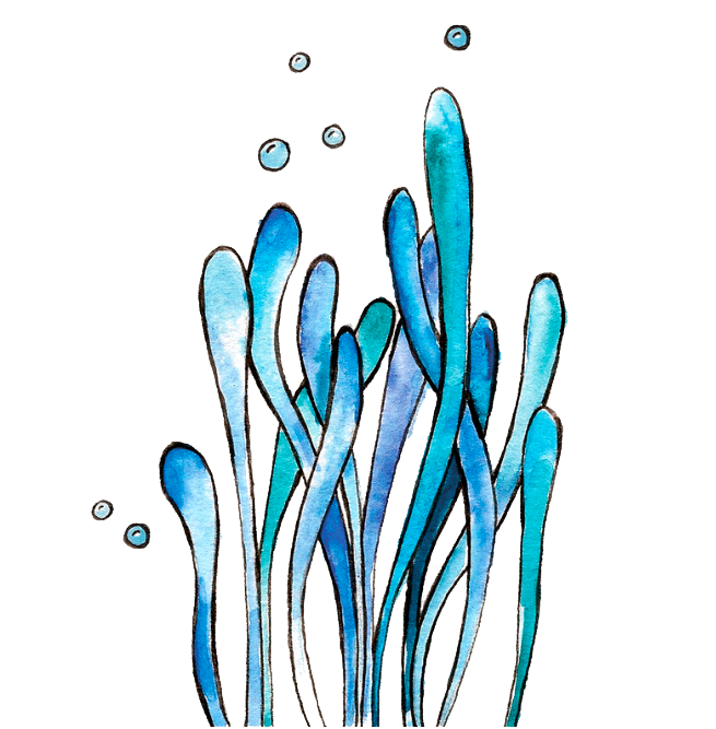 шаблон «Морской»