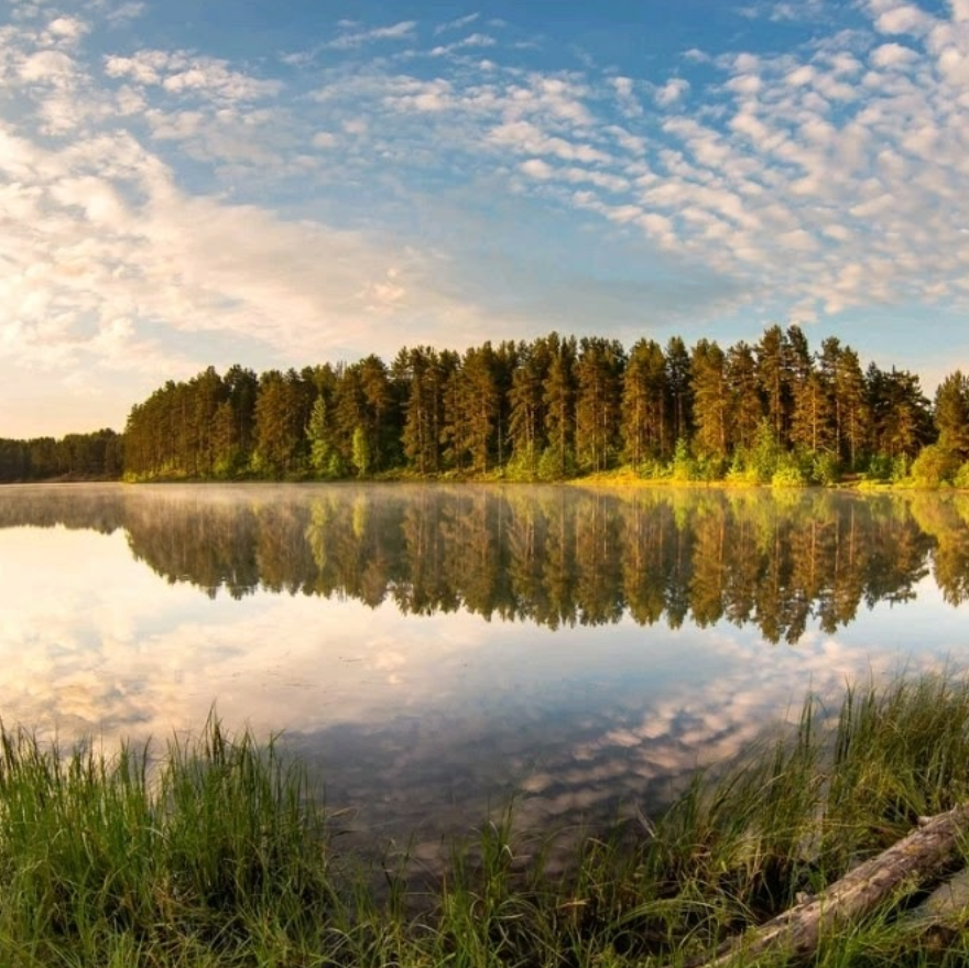 Площадка № 6-1. Свадебный и портретный фотограф Москва