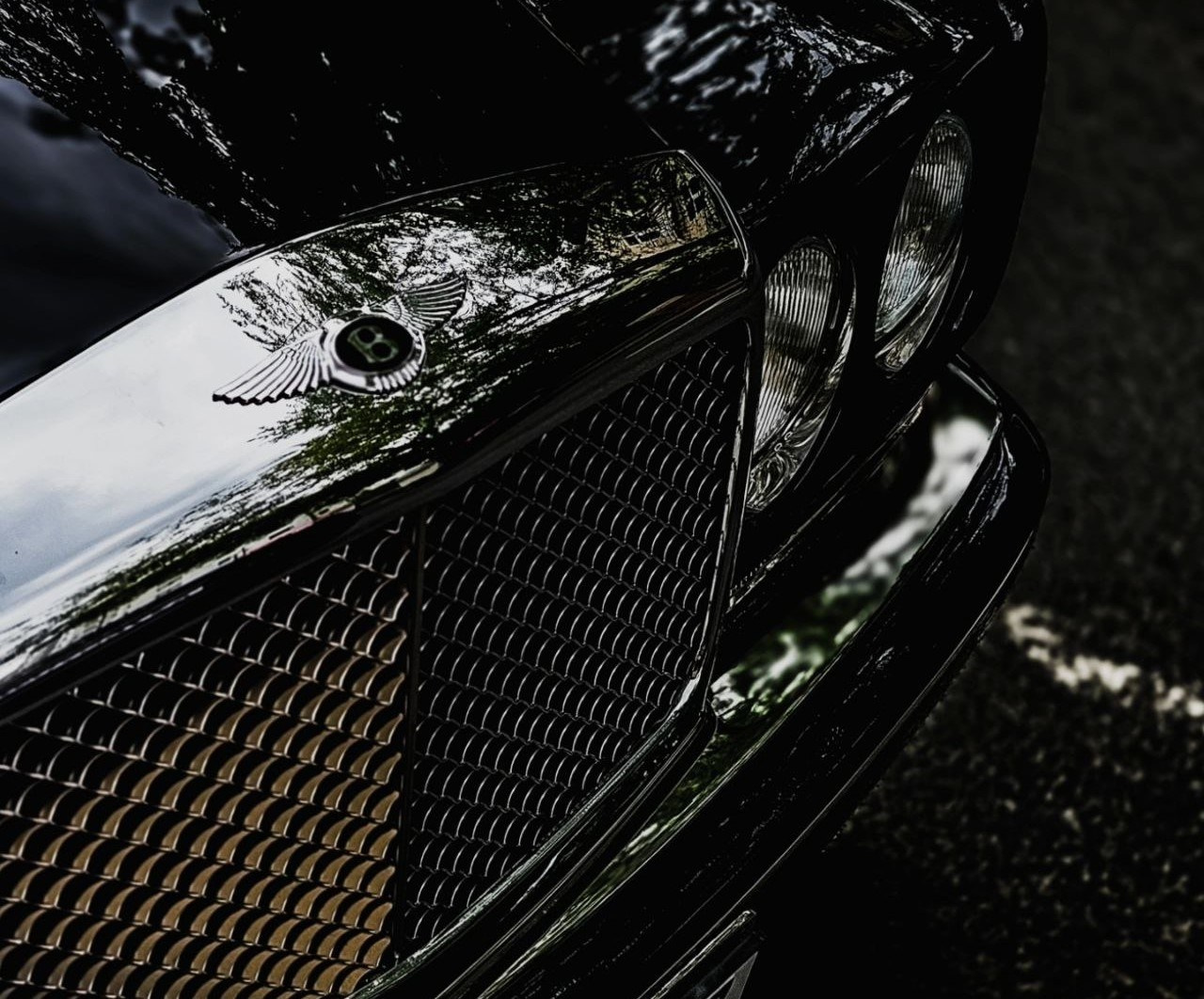 Area. Фотограф Иван Антонов