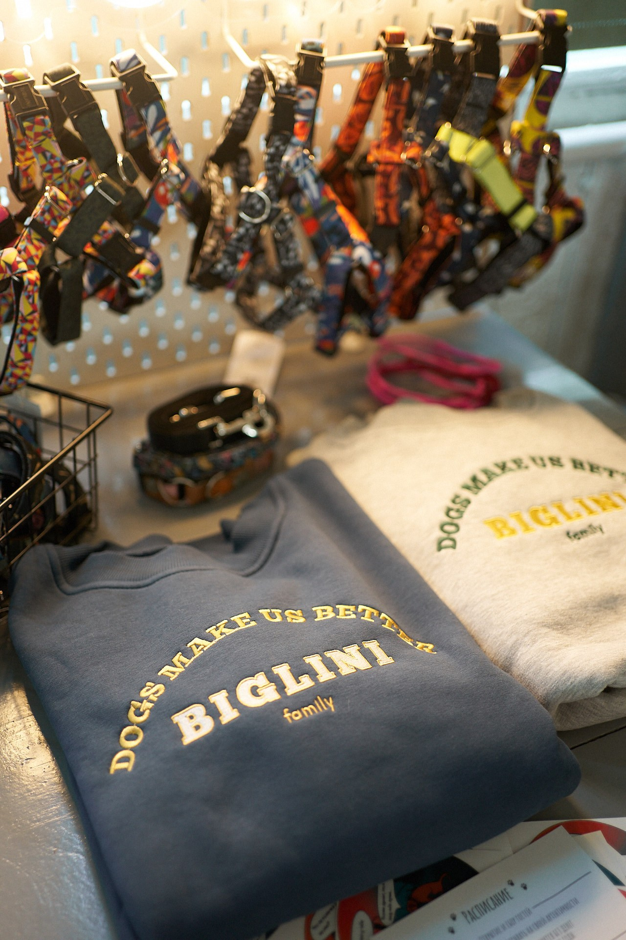 Пёсобиз. Фотограф анималист Москва Дарья