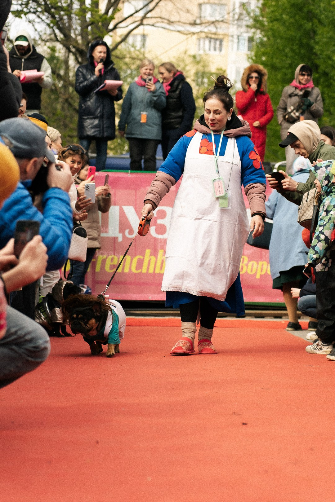 Парад Бульдогов. Axenov_eugene