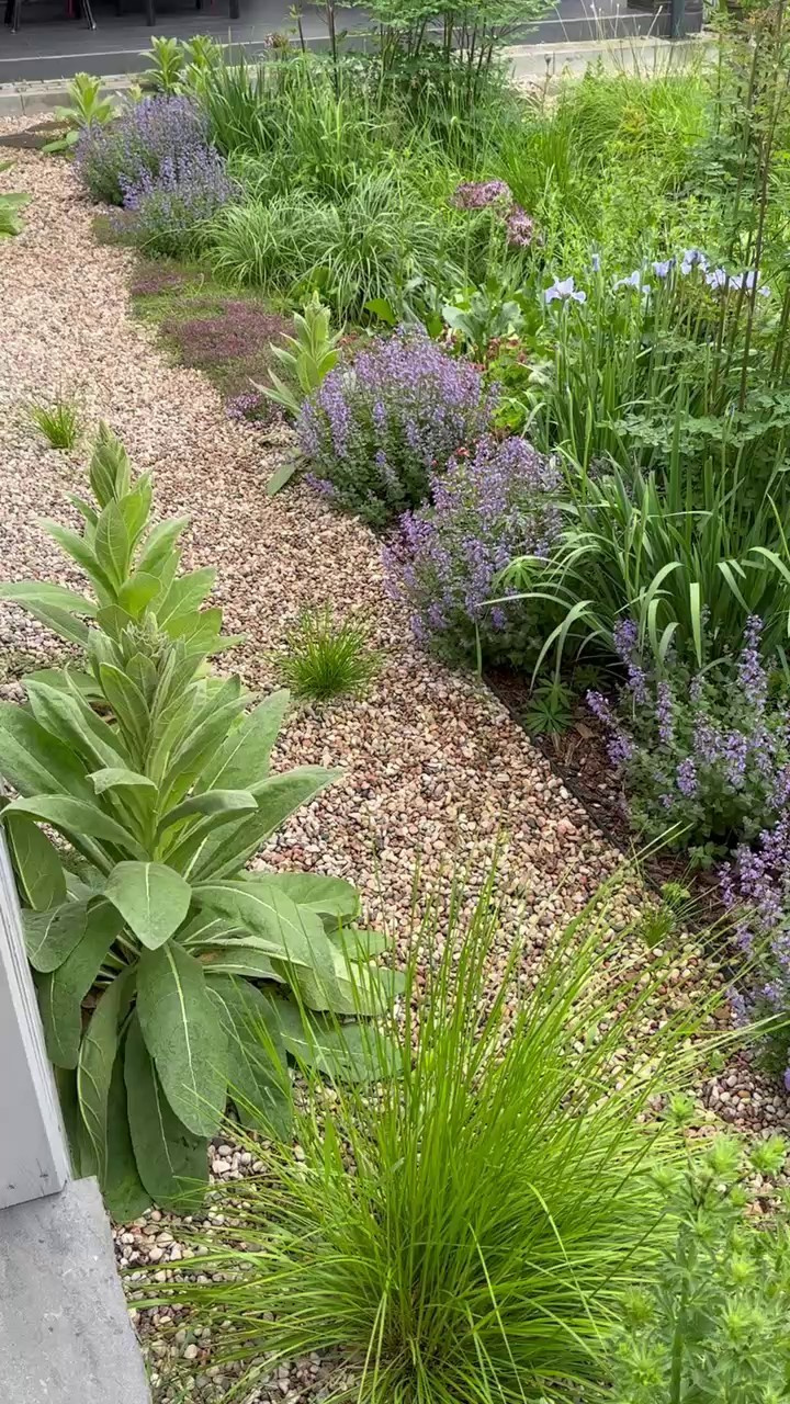 Участок в пейзажном силе. Дизайн интерьера, мебели и ландшафта на КМВ | OXY Design