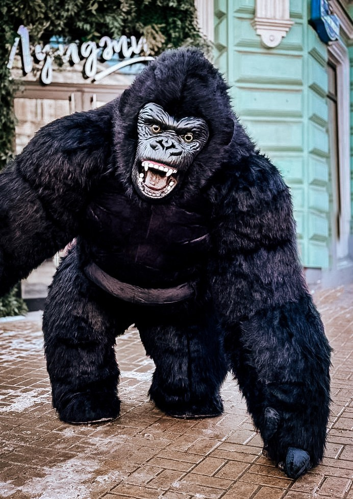 Эксперсс поздравление.ростовые куклы, медведь, панда, горилла. Организатор праздников. Ведущая Марина Гребенникова