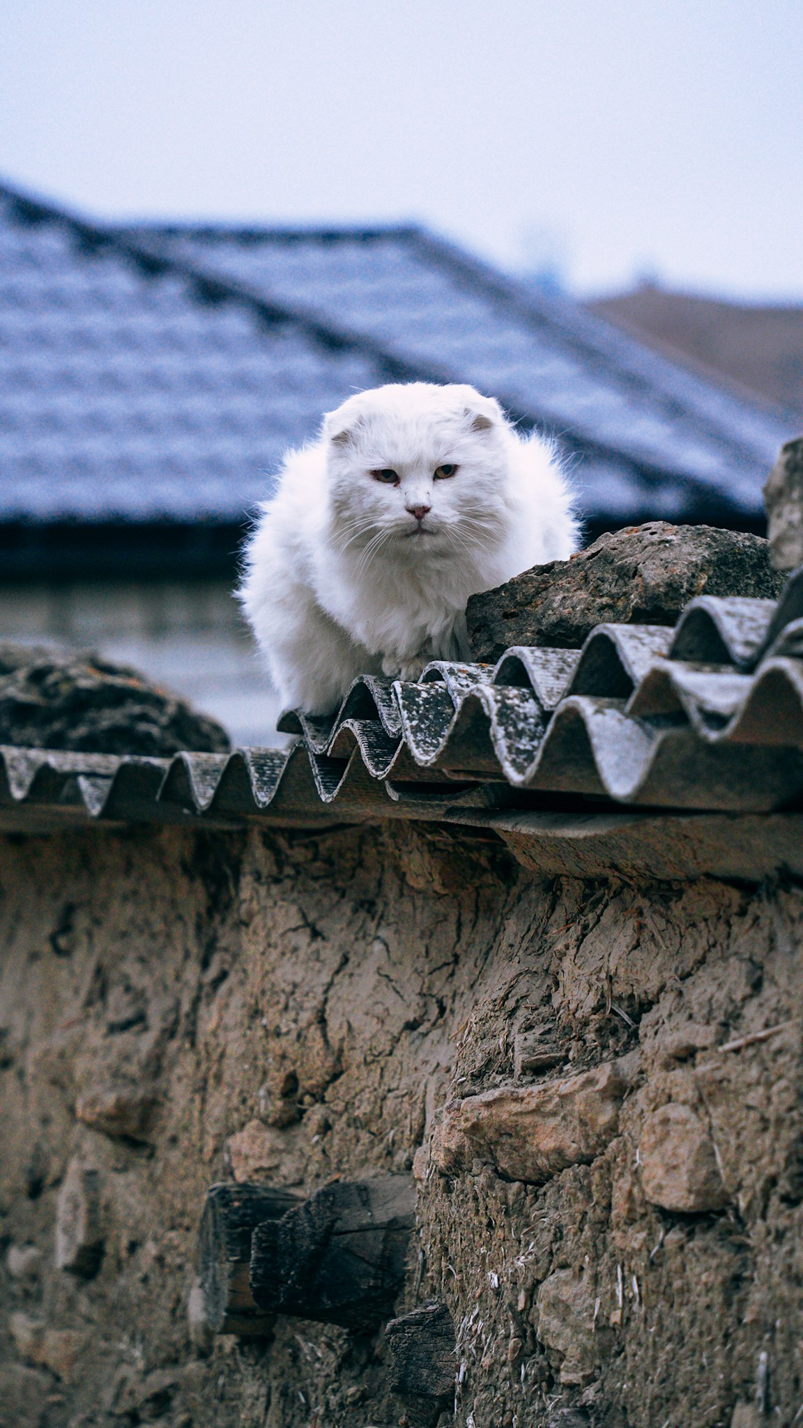 Дагестан 2023. Человек с фотокамерой