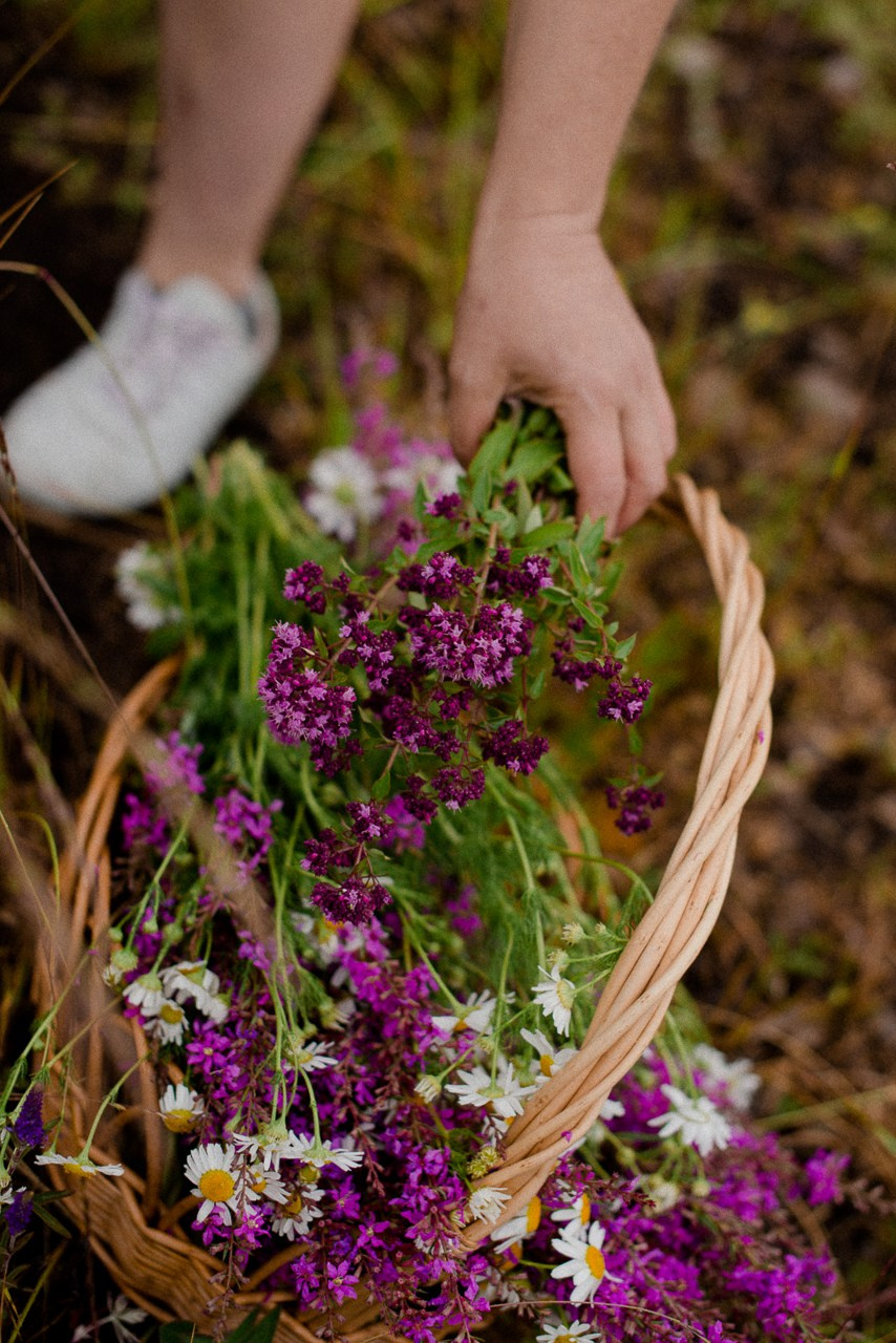 Травы. Портретный и семейный фотограф Магнитогорск Евгения Ионова