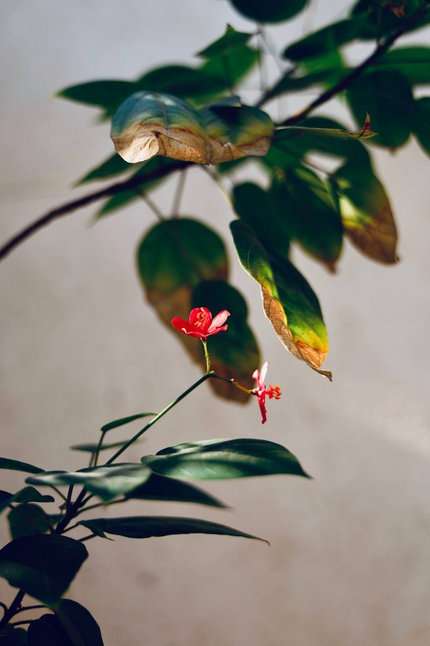 Эль-Джубайль. СА. 2025. Фотограф Михаил Олейник