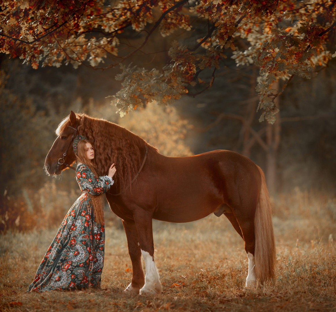 Конная съёмка. Взрослые. Детская Конная фотография в Москве Юлия Шепелева