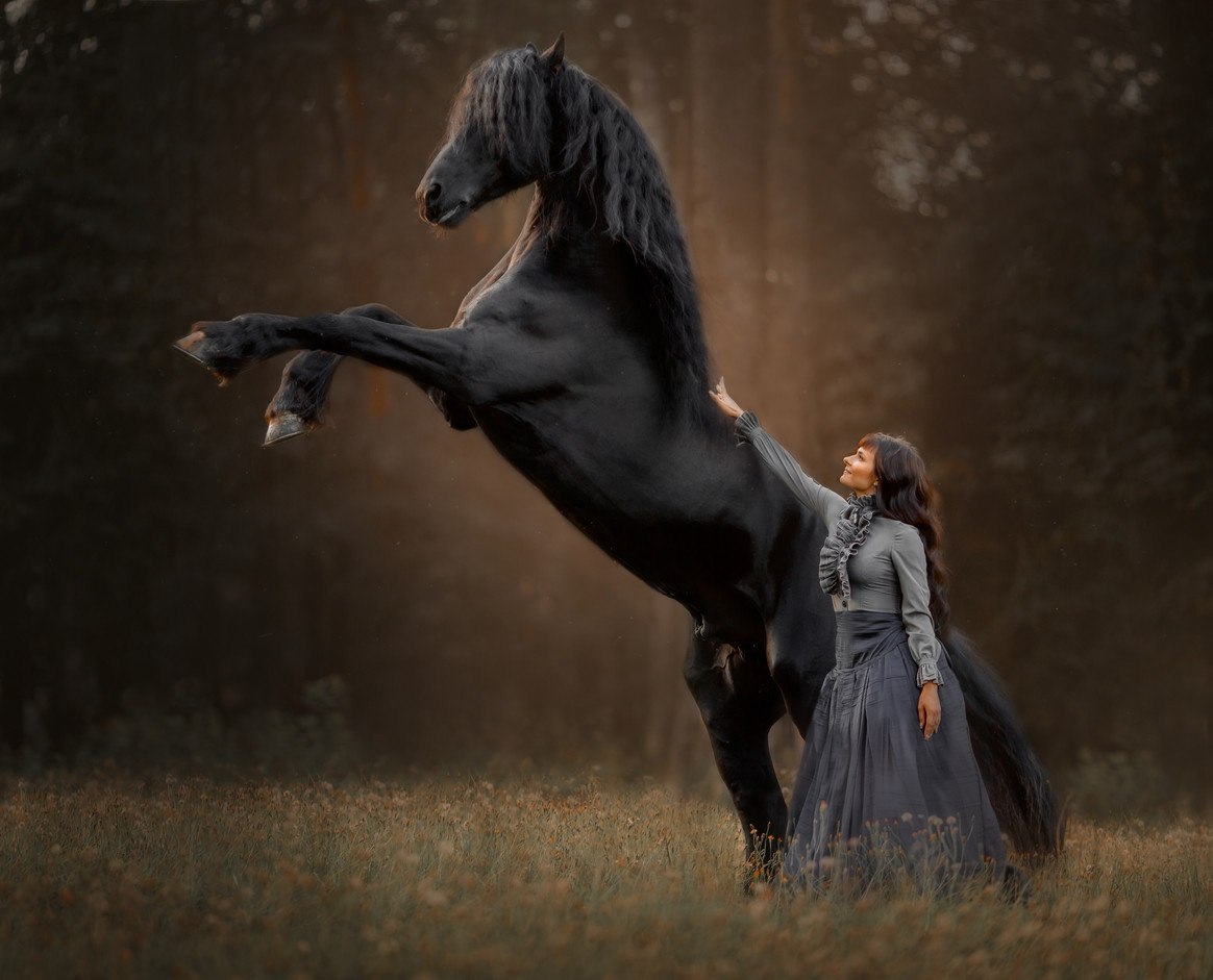 Конная съёмка. Взрослые. Детская Конная фотография в Москве Юлия Шепелева