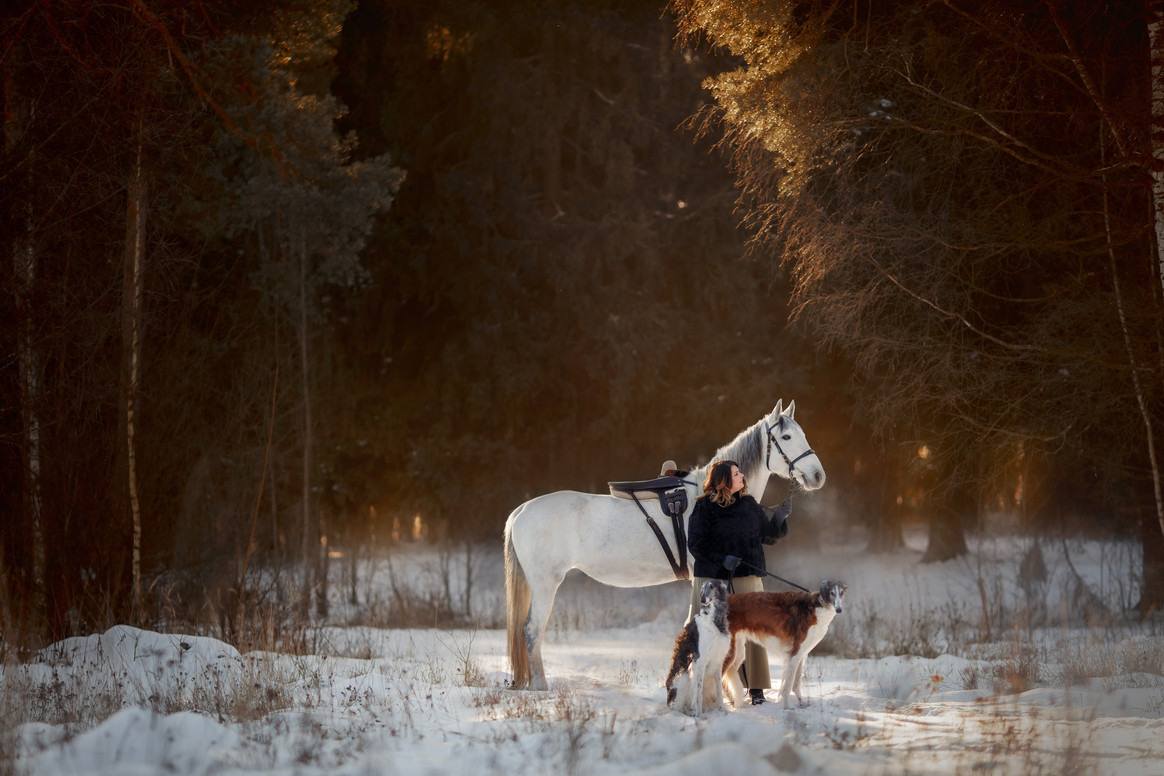 Конная съёмка. Взрослые. Детская Конная фотография в Москве Юлия Шепелева