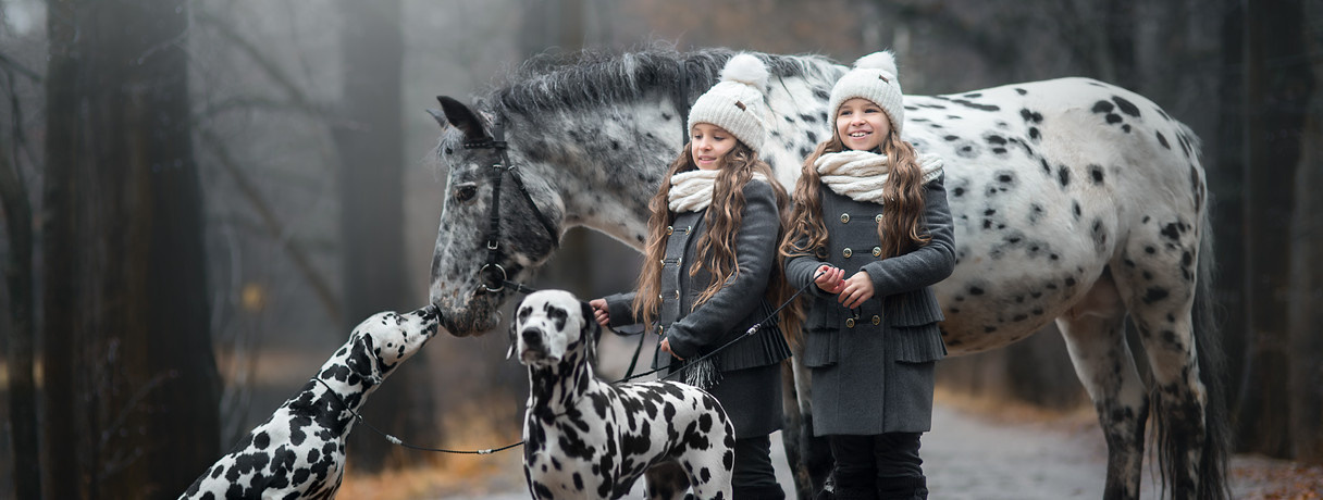 Детская конная съёмка. Детская Конная фотография в Москве Юлия Шепелева