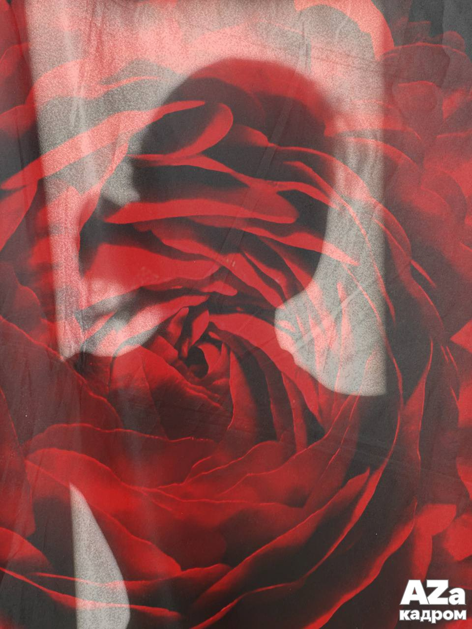 AZакадром «В поисках красного». Женский семейный фотограф Тула Москва Захарова Анна