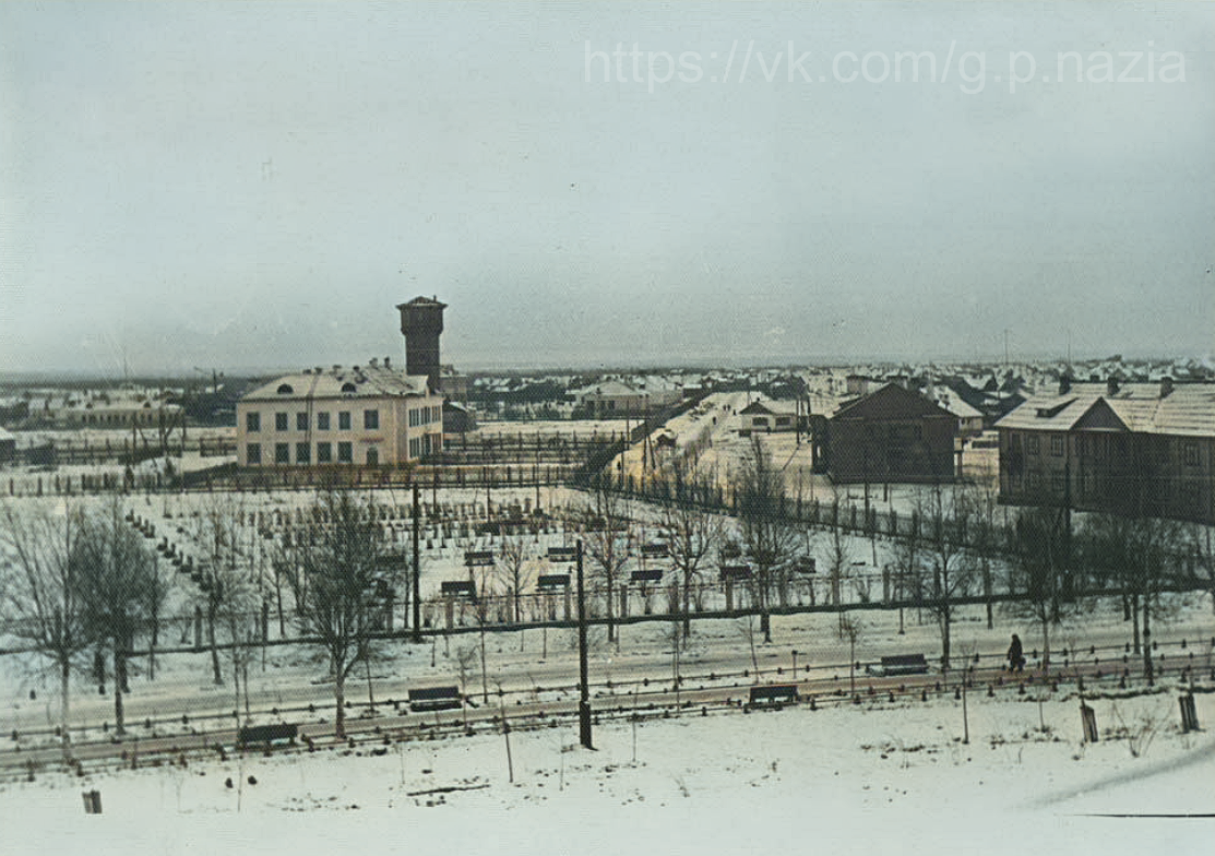 Назия в 1950-х и 1970-х. История Назиевского городского поселения