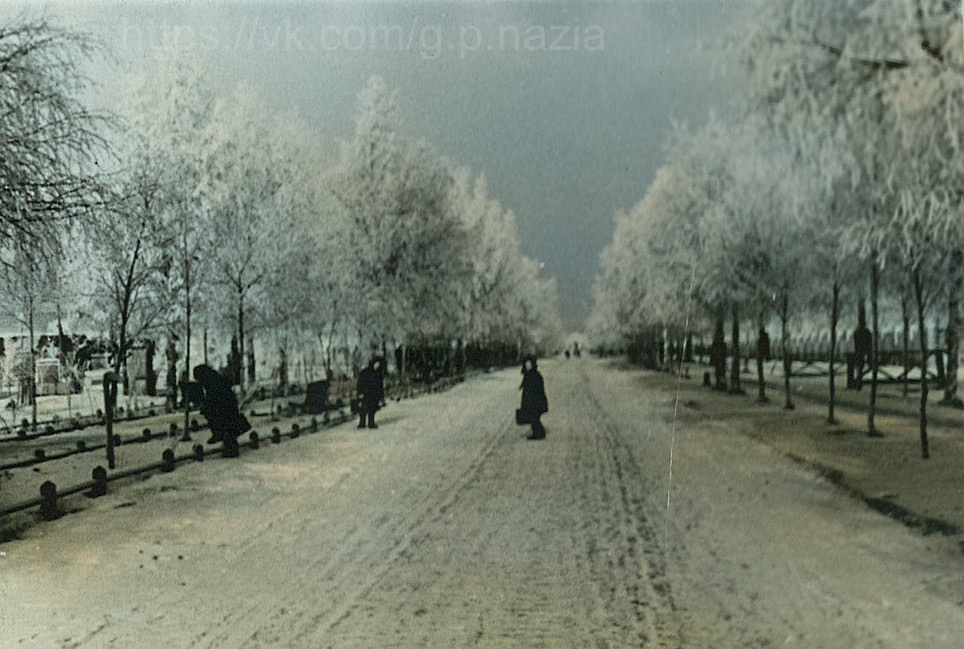 Назия в 1950-х и 1970-х. История Назиевского городского поселения