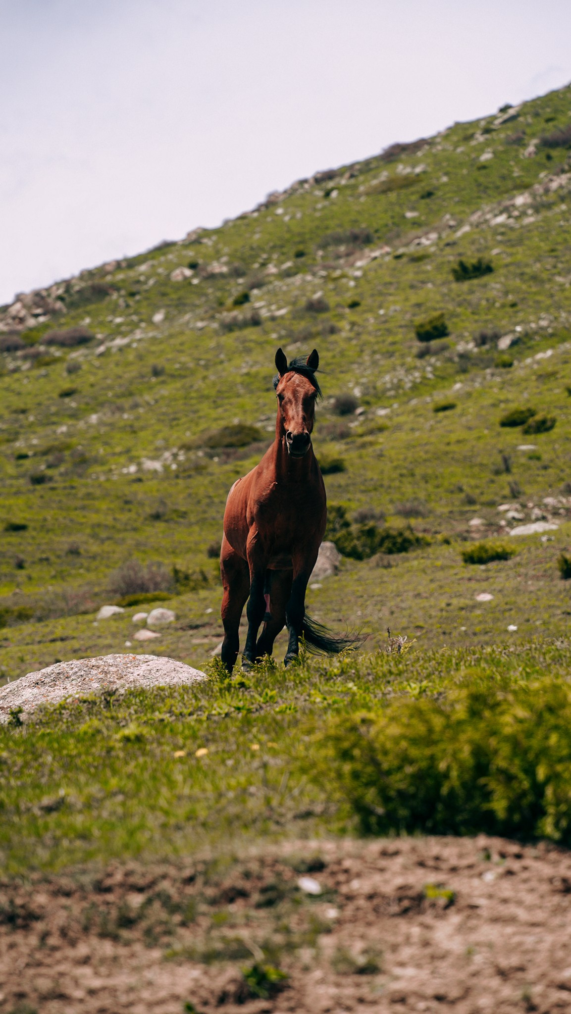 Кыргызстан. Человек с фотокамерой